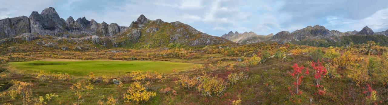Wildlife Panorama Lofoten Bostad Exterior foto