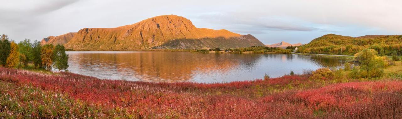Wildlife Panorama Lofoten Bostad Exterior foto