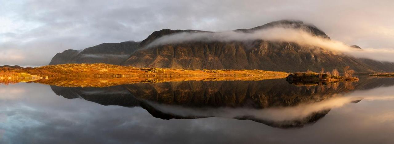Wildlife Panorama Lofoten Bostad Exterior foto