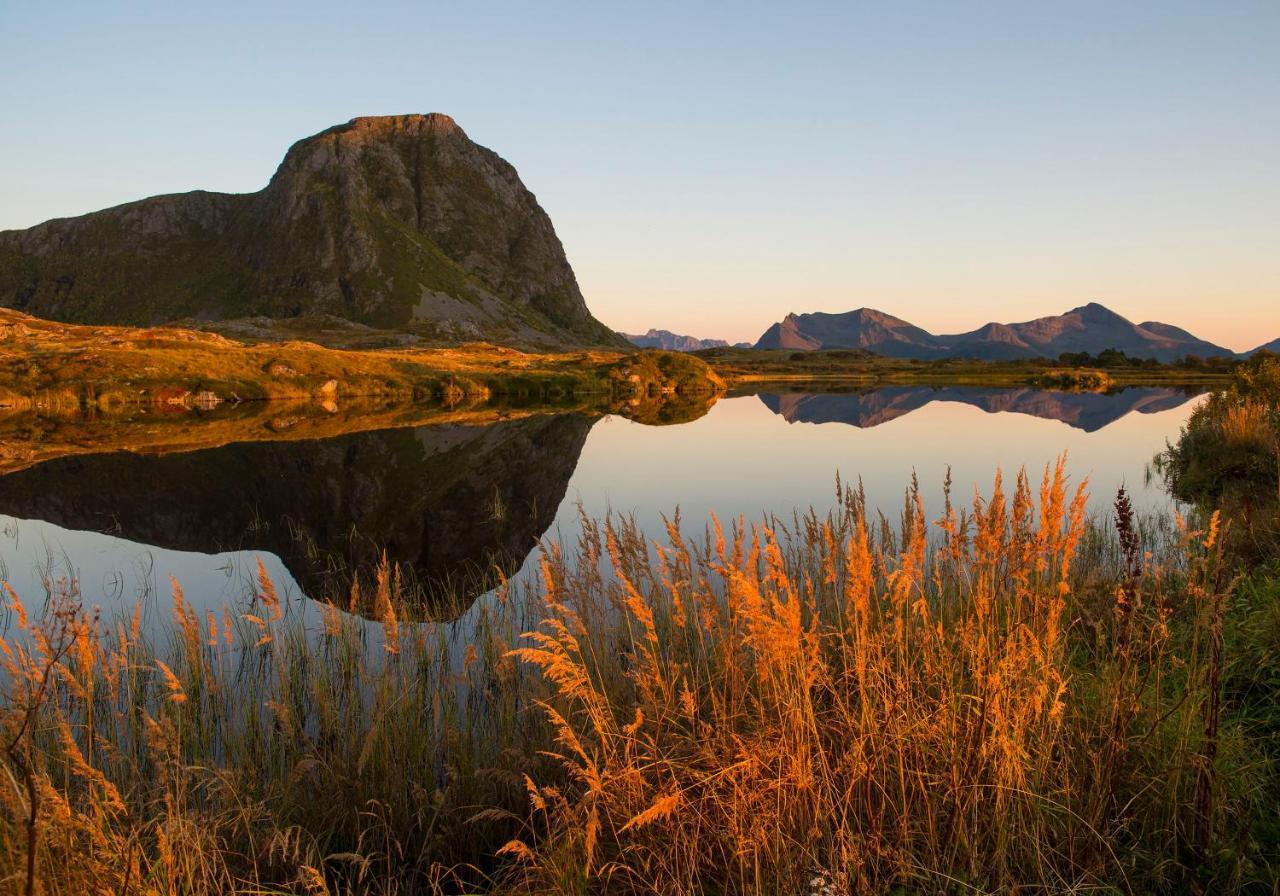 Wildlife Panorama Lofoten Bostad Exterior foto