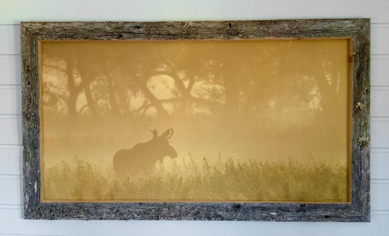 Wildlife Panorama Lofoten Bostad Exterior foto